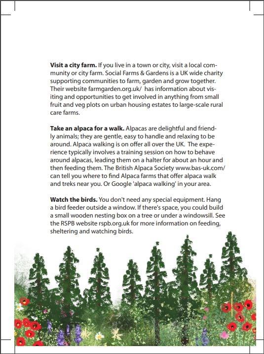 Sách - Moments of Comfort - Embracing the Joy in Life's Simple Pleasur by Gill Hasson Eliza Todd