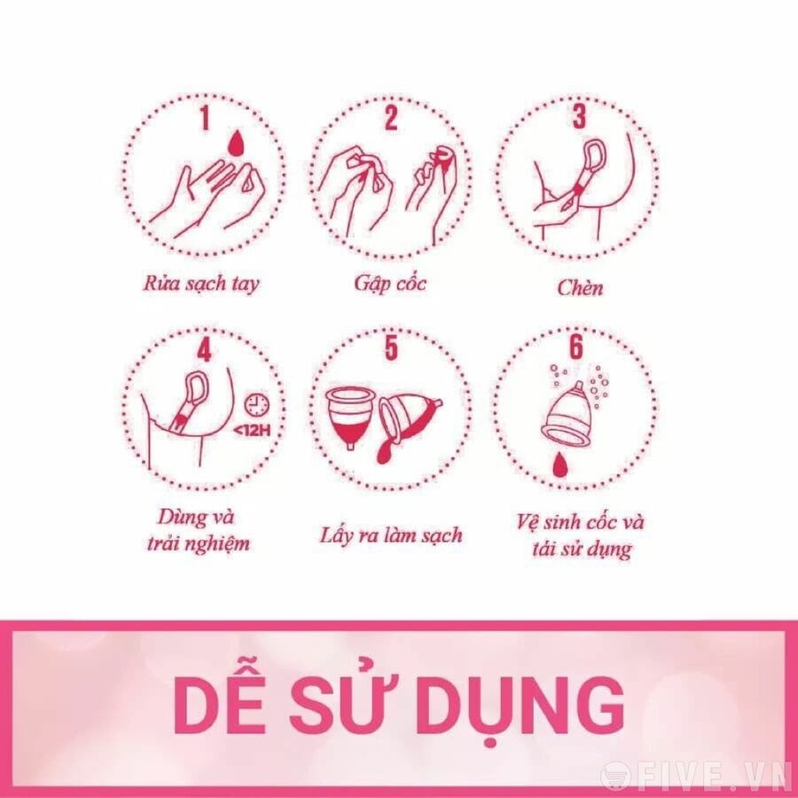 Bộ Cốc Nguyệt San Lincup + Tặng kèm dung dịch vệ sinh phụ nữ và cốc nguyệt san Lincare Rose