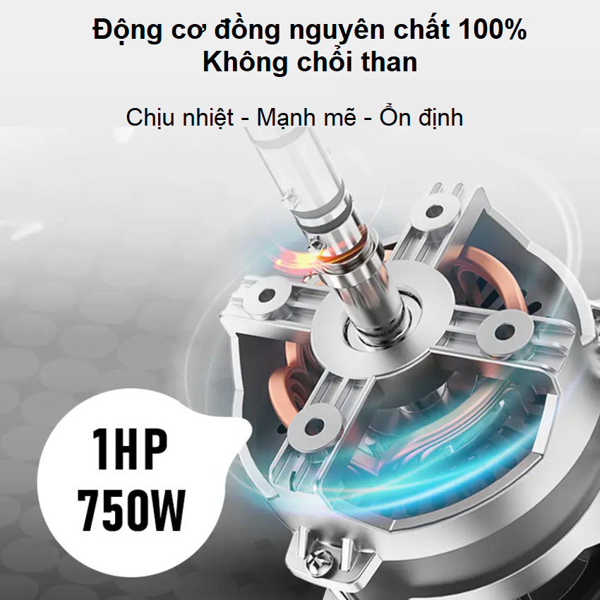 Máy thái rau củ quả công nghiệp chuyên nghiệp dùng cho nhà hàng, khách sạn thương hiệu Asaki VC65MS - Hàng nhập khẩu