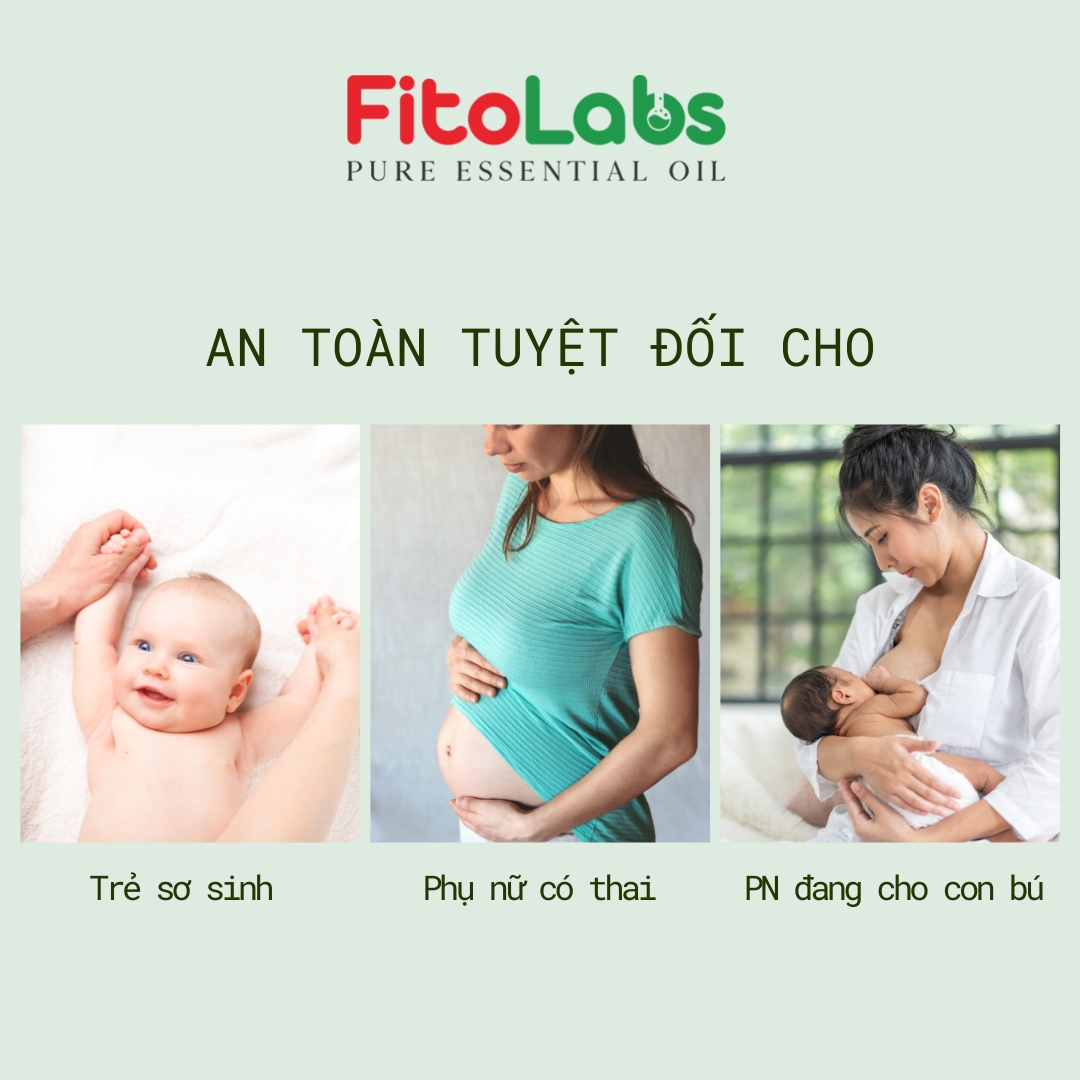 Tinh Dầu Khuynh Diệp Fitolabs Giúp thư Giãn, Thông Mũi, Phòng Bệnh Hô Hấp, Xua Đuổi Muỗi & Côn Trùng