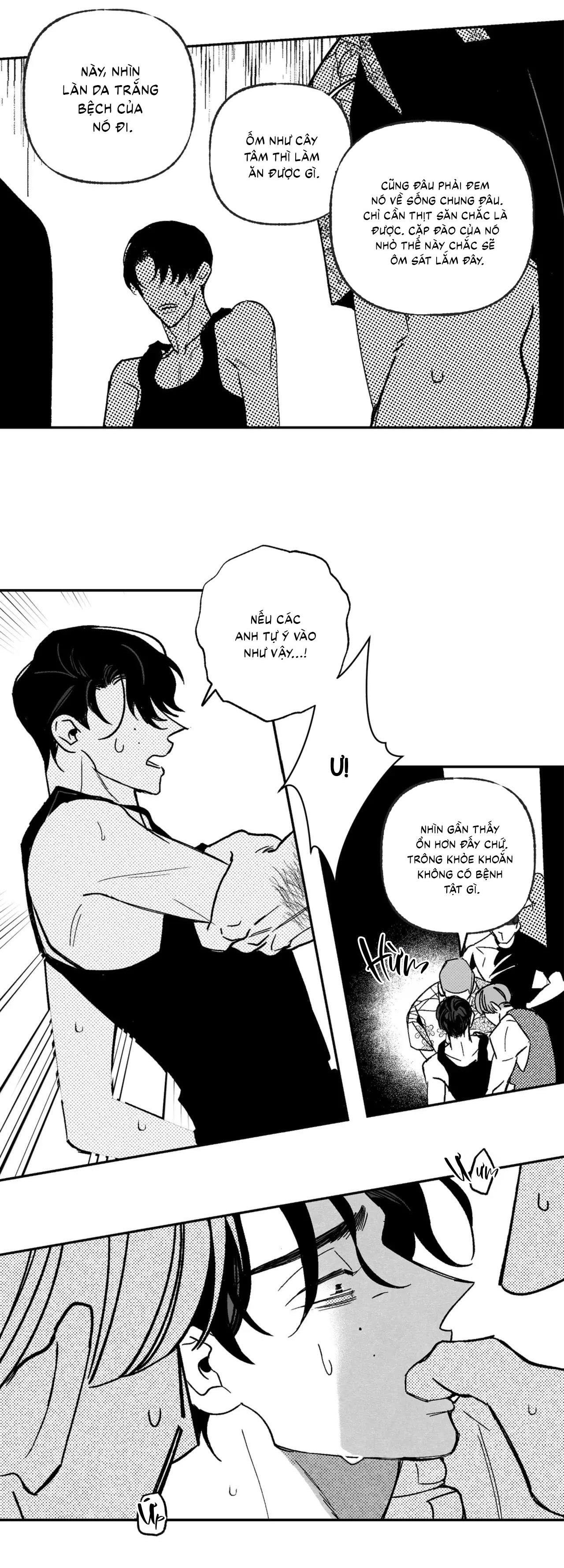 (cbunu) sự kết hợp hoàn hảo chapter 40 7