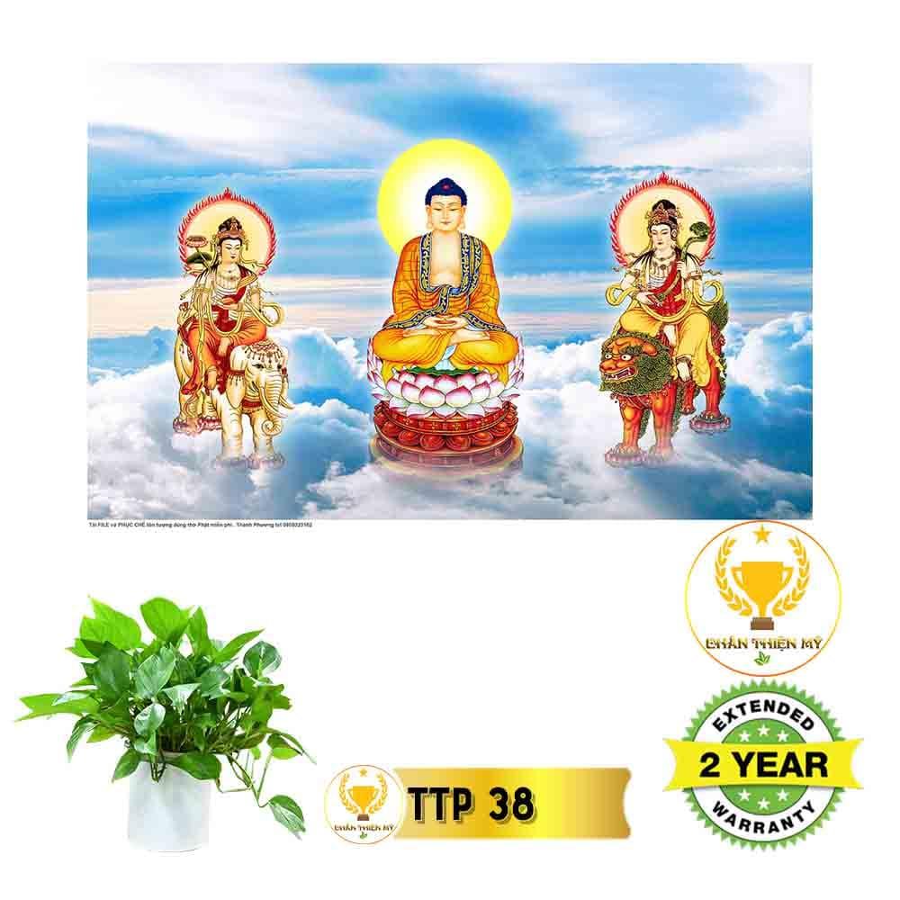 Tranh điện Tam Thế Phật_TTP4