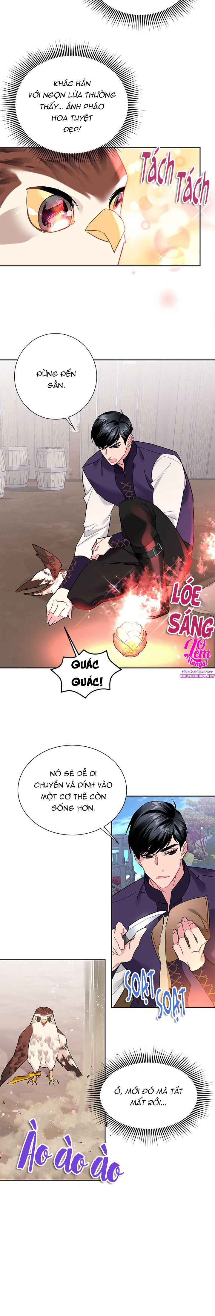 công chúa của loài chim chapter 31 9