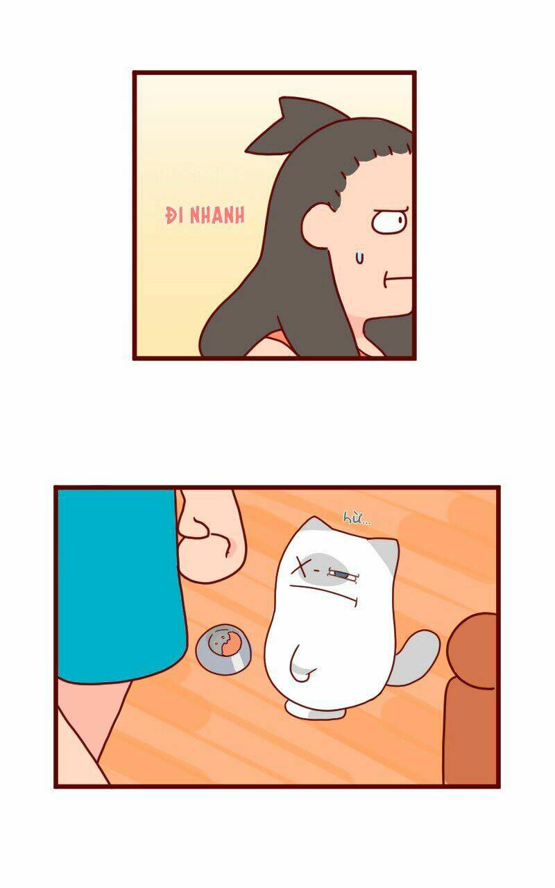 saphie: chú mèo một mắt chapter 8 8