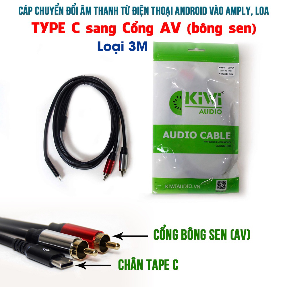 Cáp chuyển đổi âm thanh từ điện thoại chân type C sang cổng bông sen, AV (Type C to RCA) loại dài 3m - Hàng chính hãng