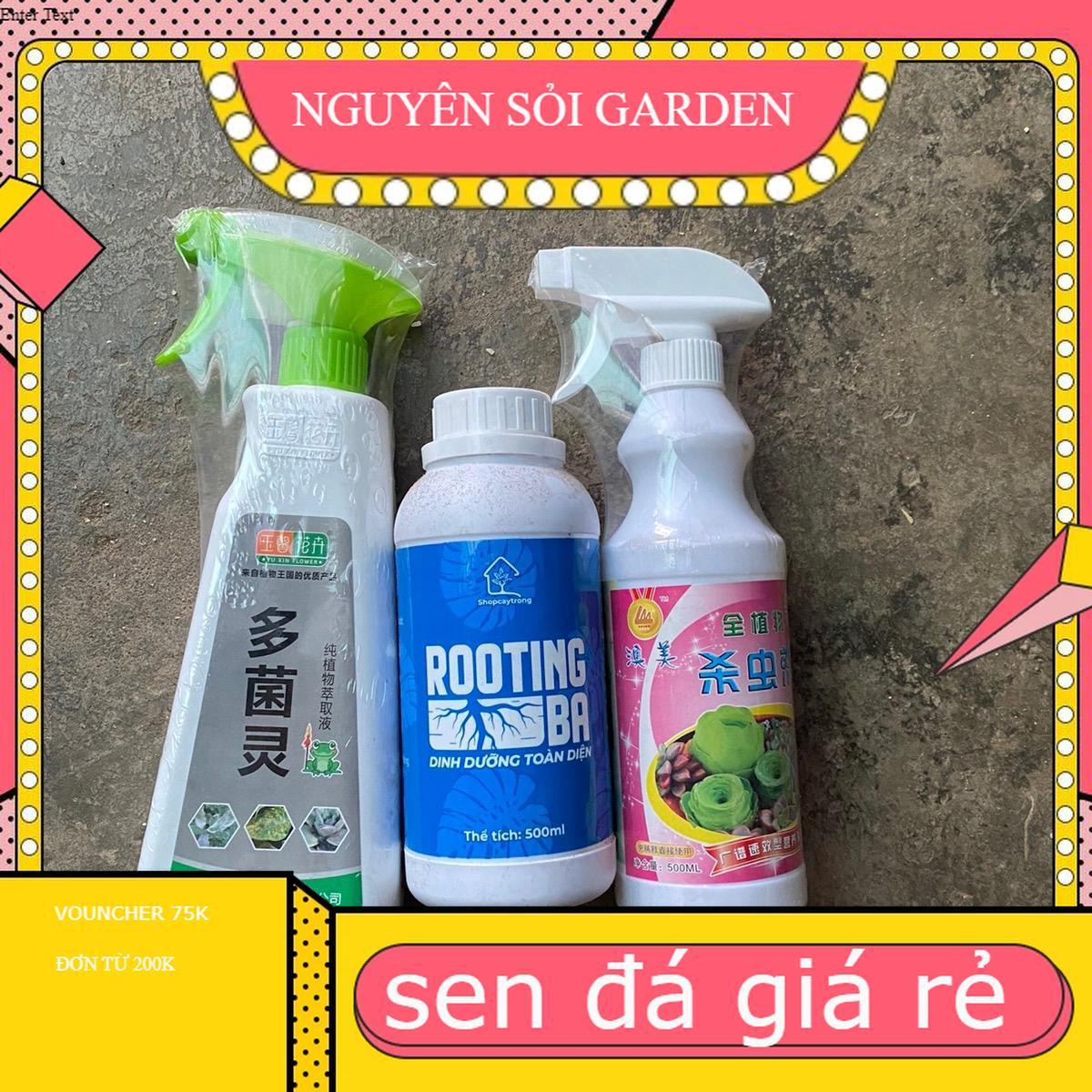 Combo hỗn hợp trị nấm - sâu - rệp và kích rễ