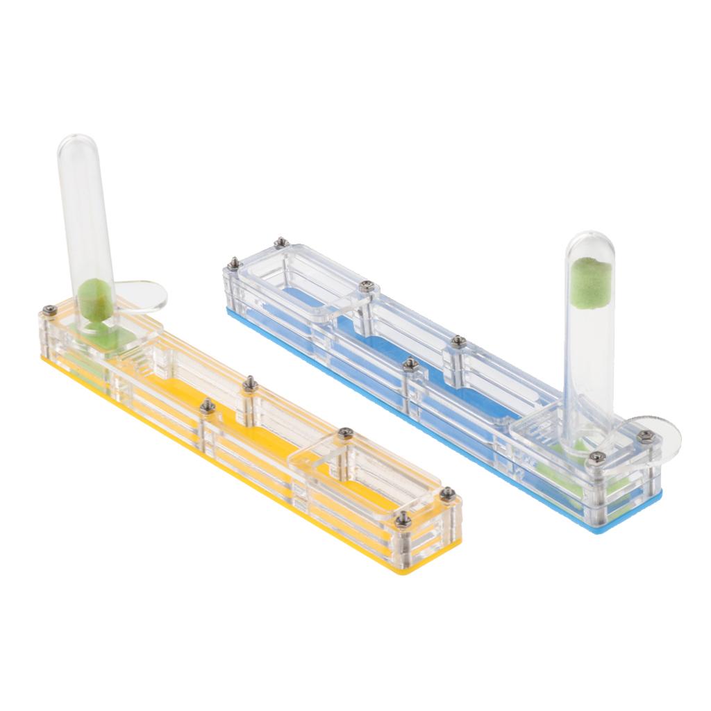 Ant Housing Box Experiment Toy Farm Insect Terrarium Pet Toys Fun Gift Clear