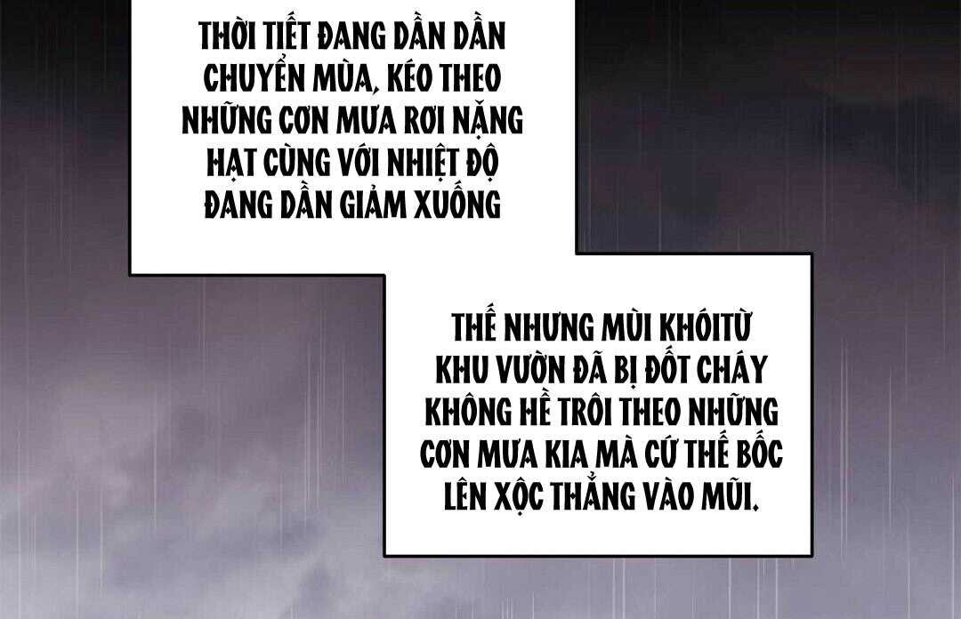 guide cấp b chapter 39 3