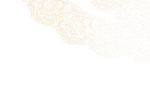 tôi tưởng đó chỉ là tiểu thuyết trọng sinh bình thường chapter 30.2 67