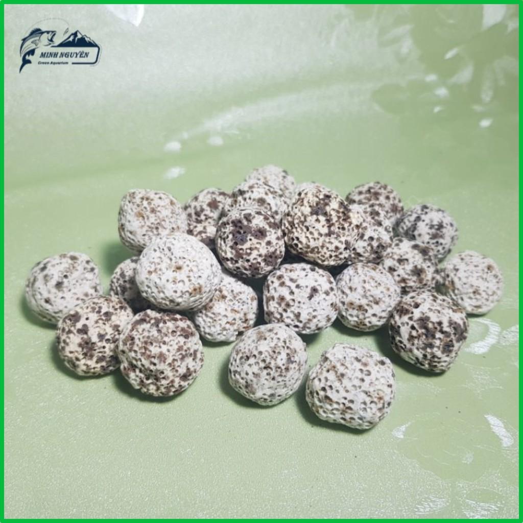 Sứ bi muối tiêu | Vật liệu lọc nước bể cá cao cấp 100G