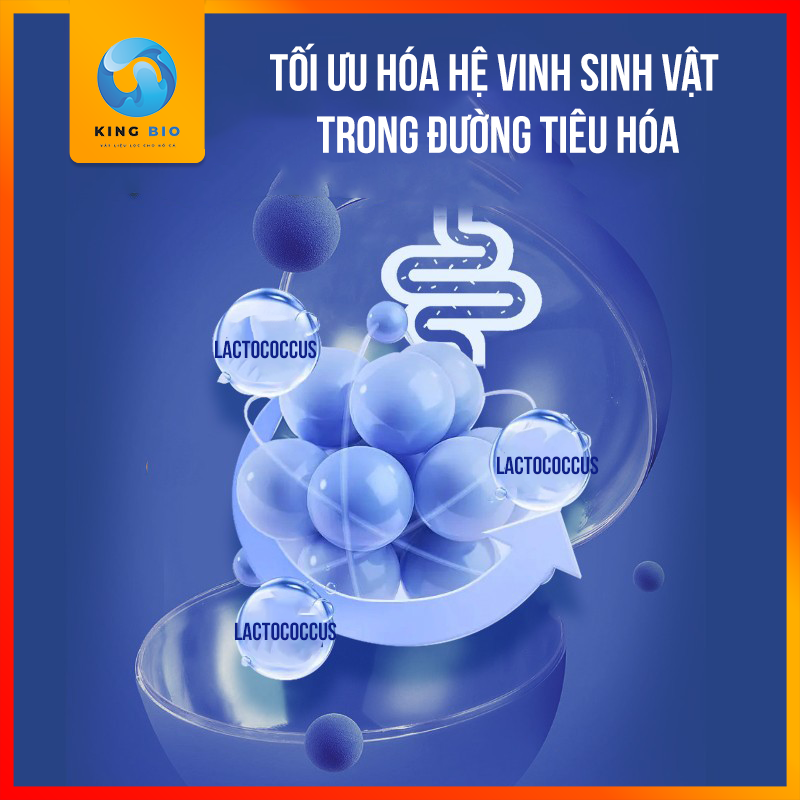 Vi sinh EM cao cấp thế hệ mới Yee Nitrifying Bacteria - làm trong nước và bảo vệ cá