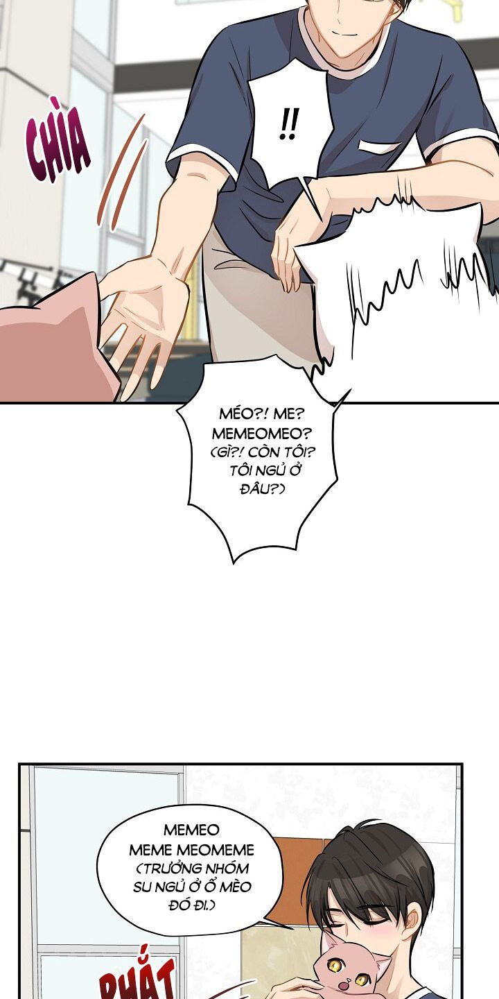 cuộc sống kỳ thú chapter 44 24