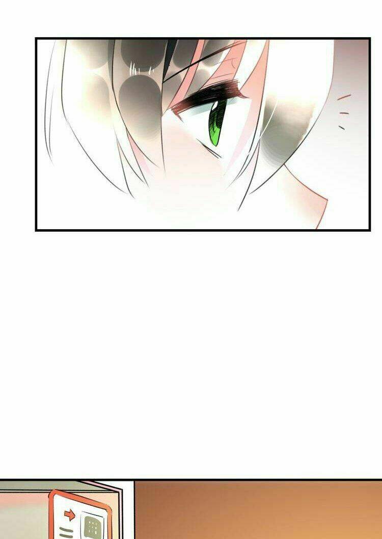 lão ca minh tinh, mời xuất chiêu! chapter 54 18