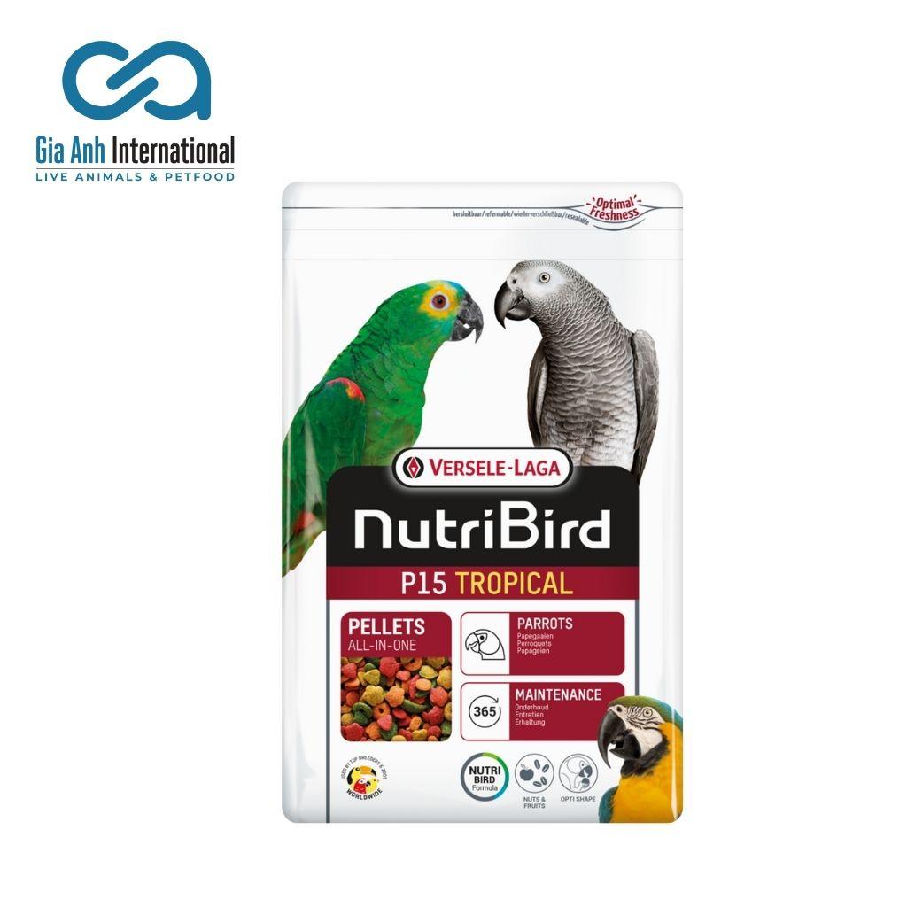 Hỗn Hợp Trái Cây Dinh Dưỡng Cho Vẹt Lớn - Versele-laga Nutri Bird P15 Tropical Làm Lông Đẹp Chim Khoẻ Mạnh Bao 10kg