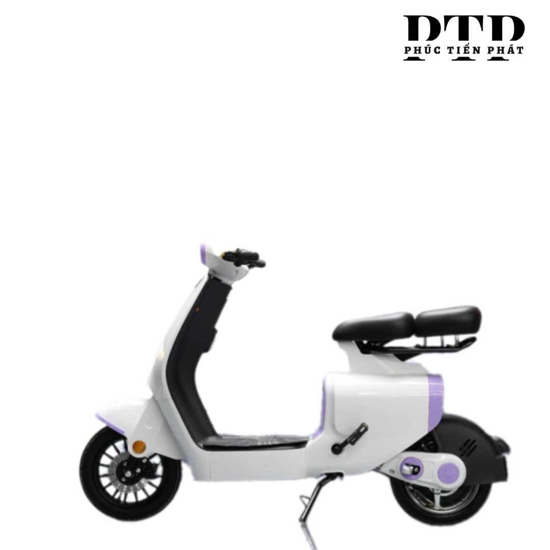 XE ĐẠP ĐIỆN DK S1