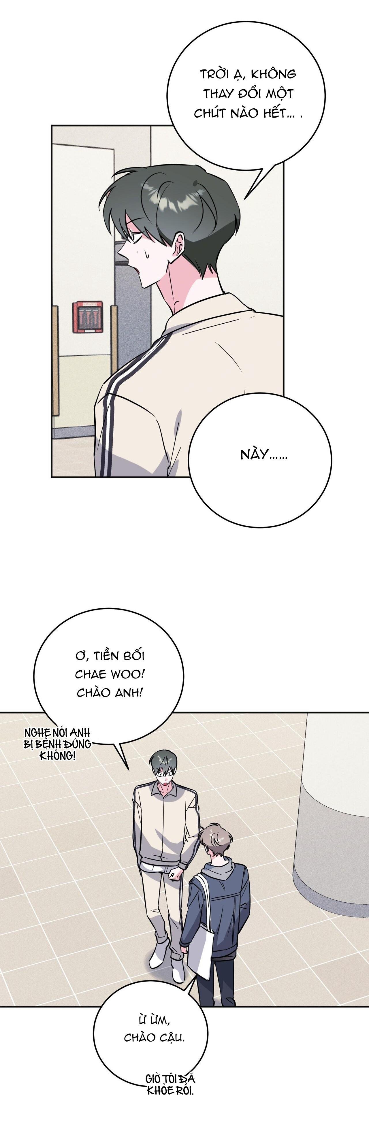 cạm bẫy đại học chapter 80 31