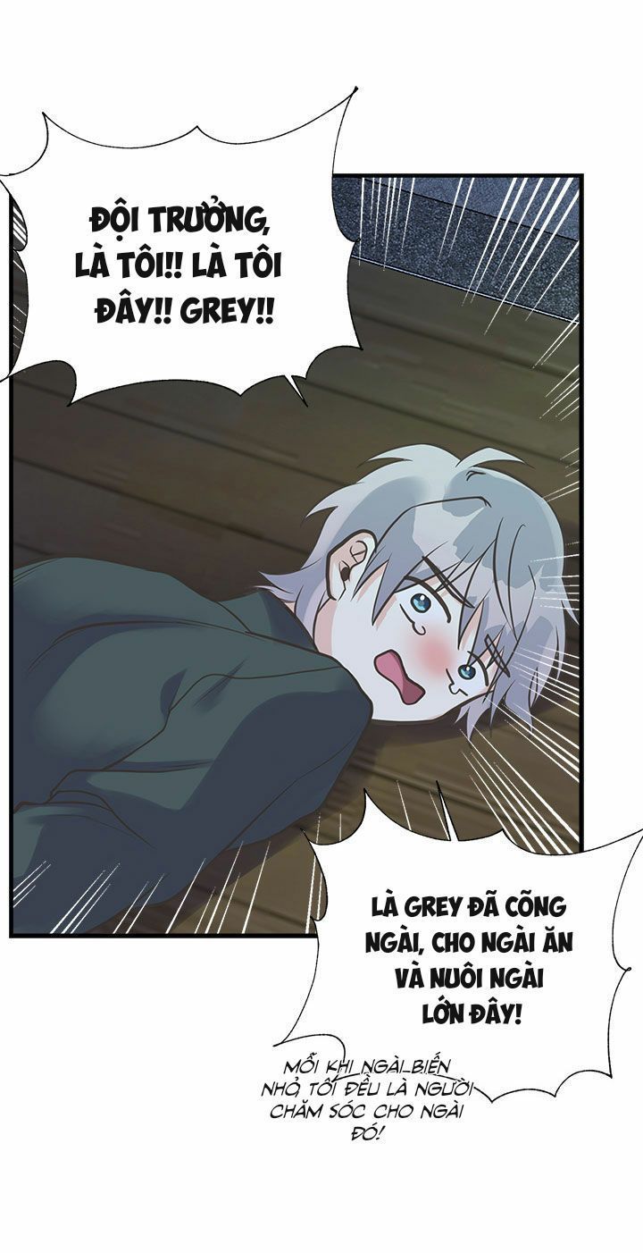 chị tôi đã nhặt về một nam chính quyến rũ chapter 20 12