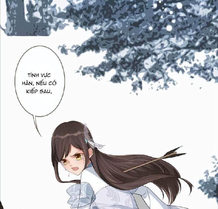 lấy thiên hạ làm sính lễ: vương phi lại trêu ta chapter 1 38