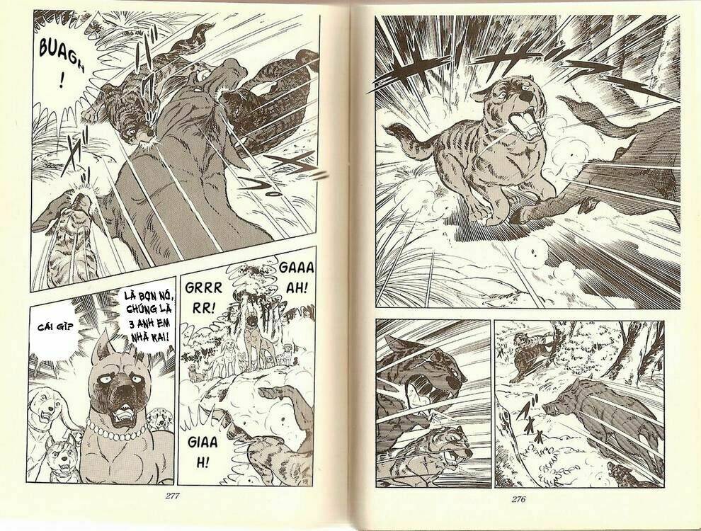 chú chó có nghĩa - ginga nagareboshi gin chapter 12 5