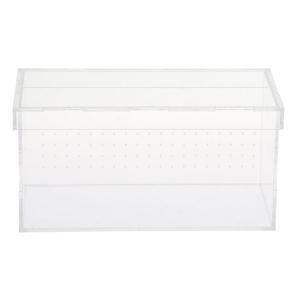 Transparent Acrylic Reptile Box Terrarium Pet Insect Breeding Box
