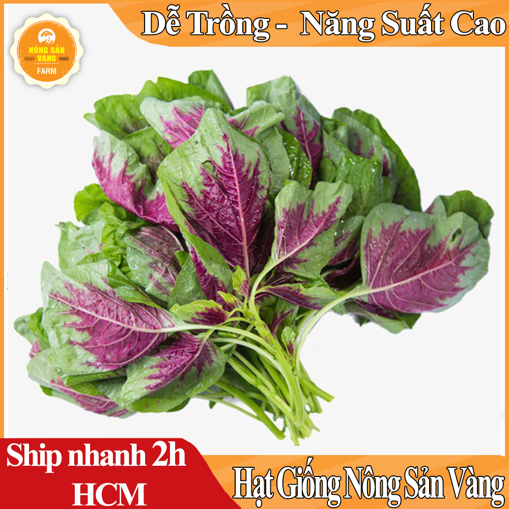 Hạt giống Rau Dền Tía, Tỉ Lệ Nảy Mầm Cao, Sinh Trưởng Và Phát Triển Khỏe, Năng Suất Cao Mùa Vụ Quanh Năm - Nông Sản Vàng