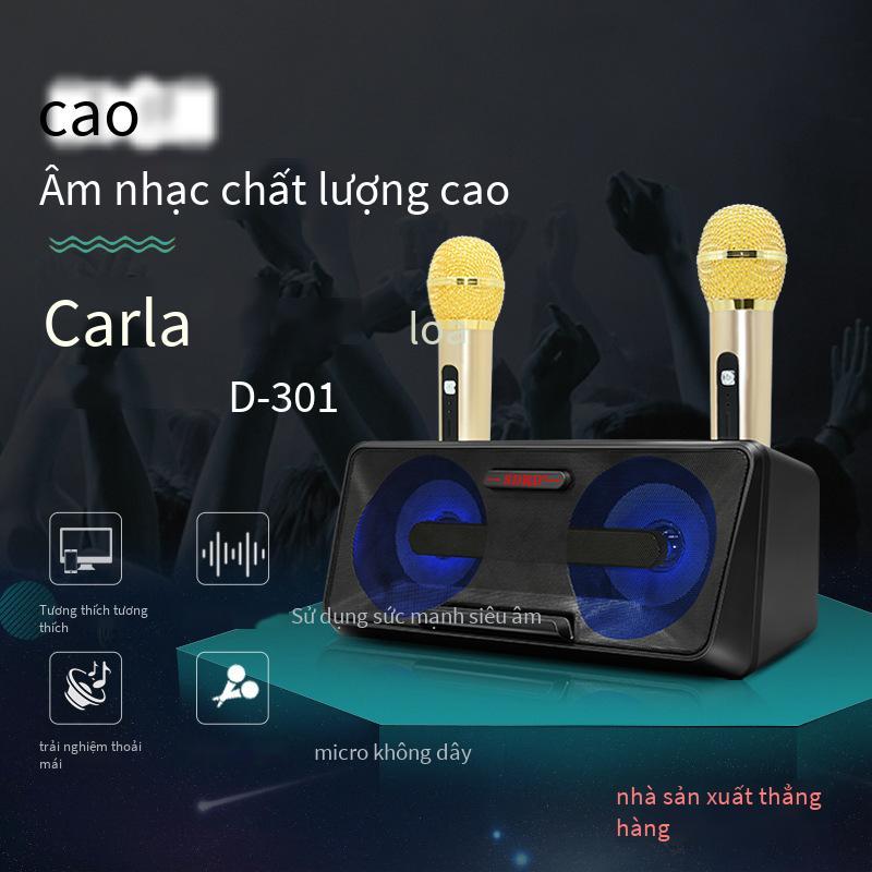 Đảm bảo chất lượng SD301 một cho hai gia đình KTV âm thanh bluetooth nhiều chế độ micro kép điệp khúc đôi karaoke di động