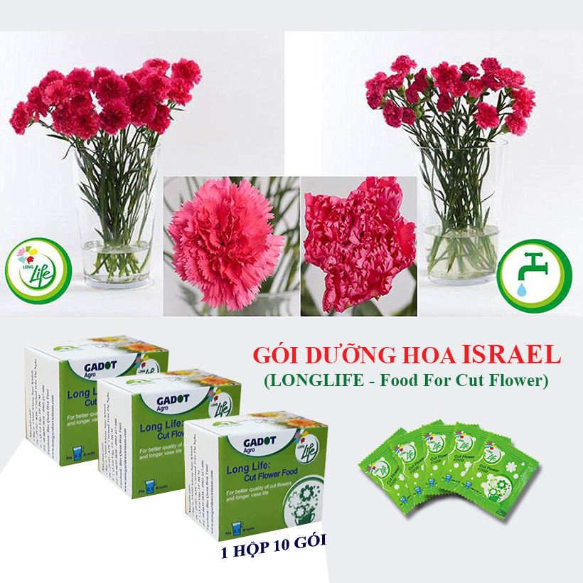 GÓI DƯỠNG HOA TƯƠI LONGLIFE CỦA ISRAEL (COMBO 30 GÓI), GIỮ HOA TƯƠI LÂU GẤP 2 LẦN VÀ 14 NGÀY KHÔNG THAY NƯỚC MỚI