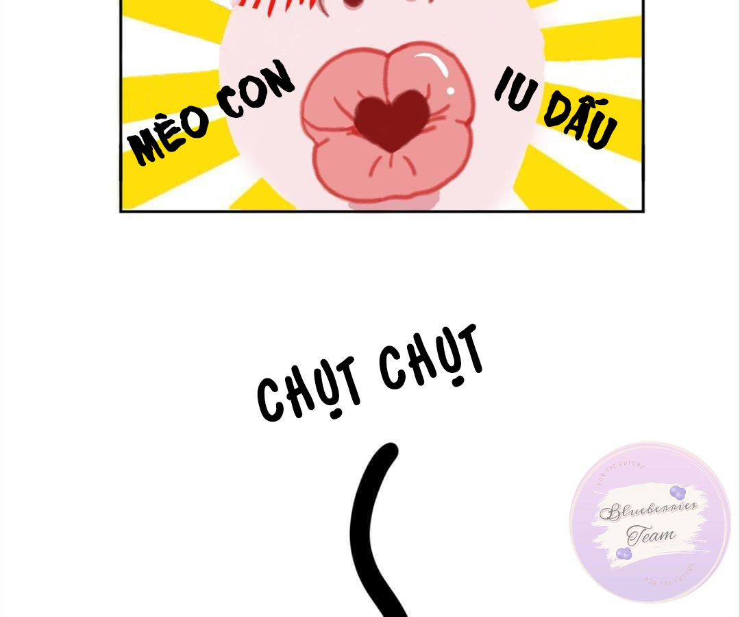 social cat chapter 1 65