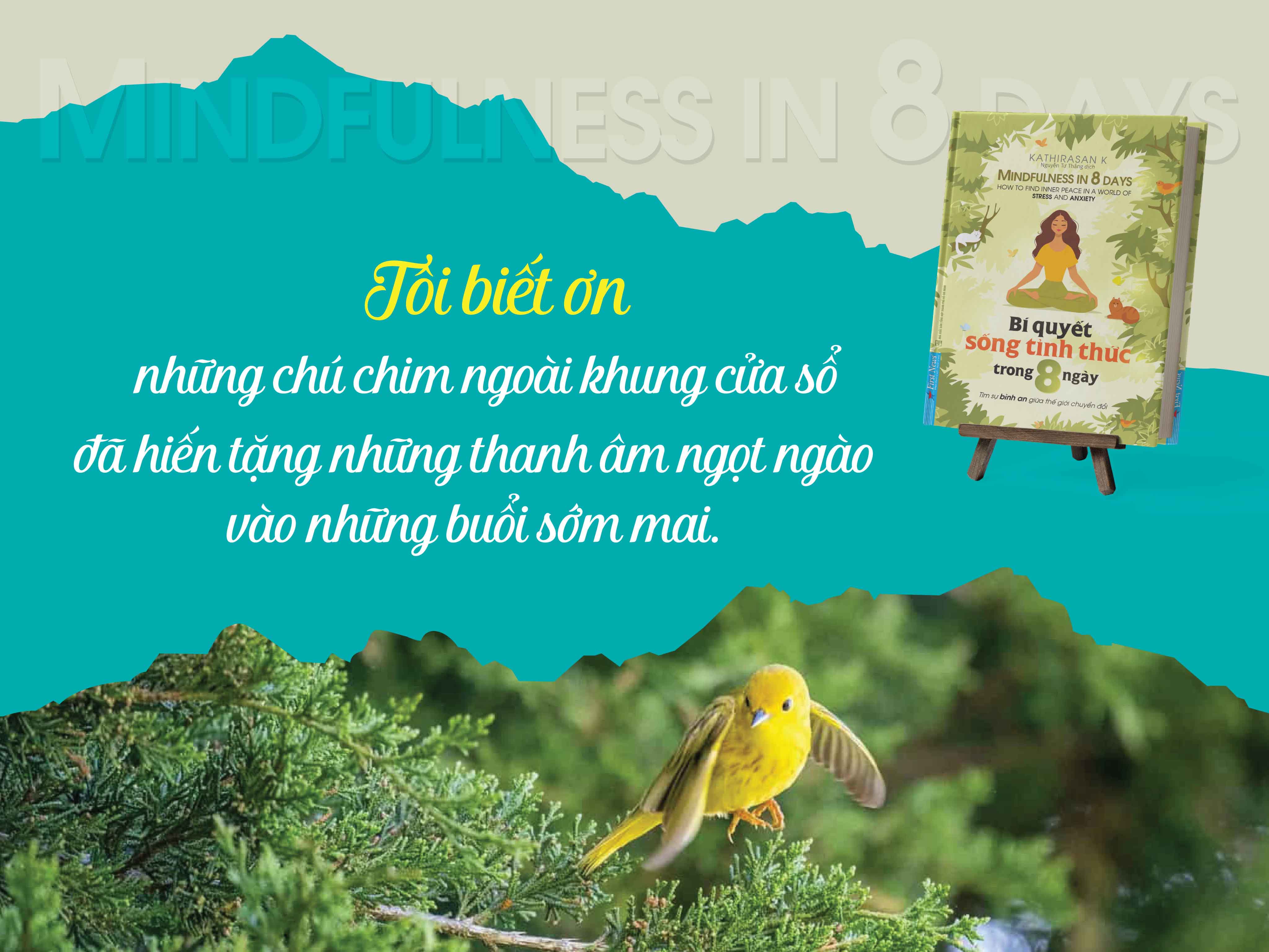 Bí Quyết Sống Tỉnh Thức Trong 8 Ngày - Tìm sự bình an giữa thế giới chuyển đổi