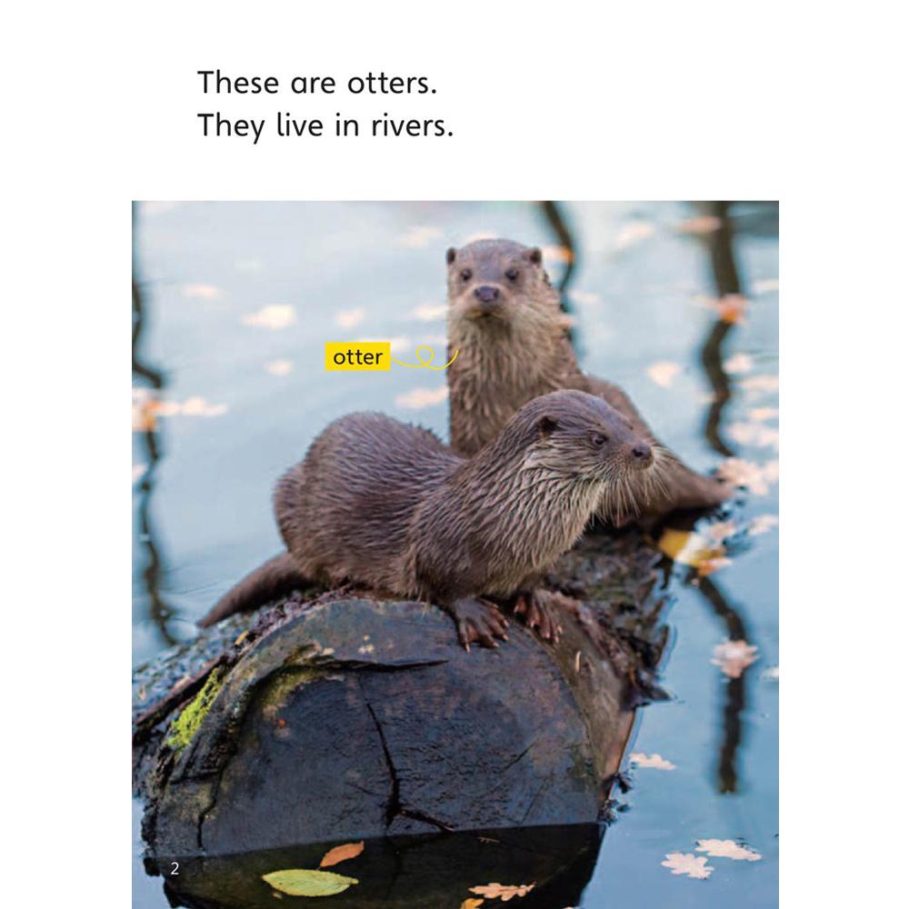 [Compass Reading Level 2-10] What Are Otters Like? - Leveled Reader with Downloadable Audio Free - Sách chuẩn nhập khẩu từ NXB Compass