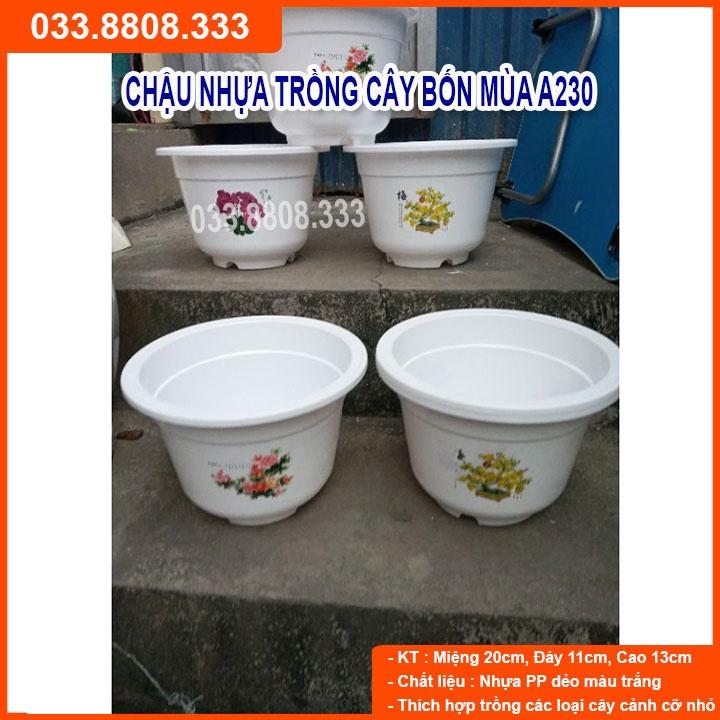 10 Chậu Nhựa Bốn Mùa A250 - Chậu Đẹp Bền