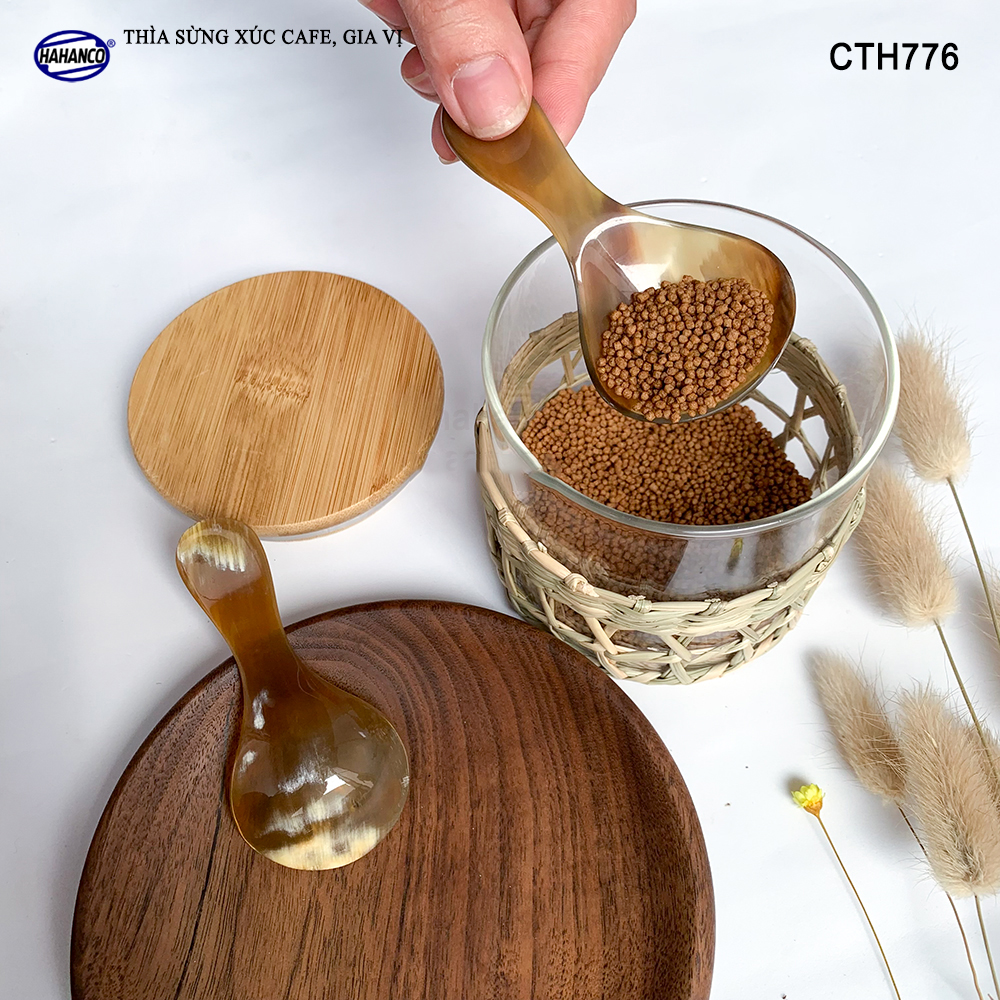 Thìa Xúc Gia Vị Đồ Khô Bằng Sừng HAHANCO Size Nhỏ 9cm_01 Chiếc