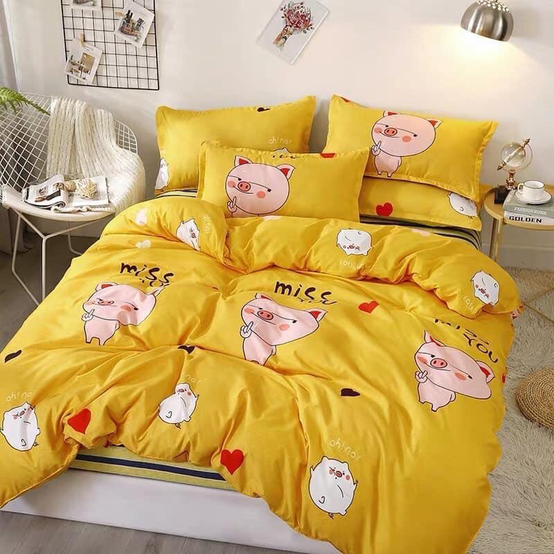 Bộ Chăn Phao Ga Gối Cotton Poly Cao Cấp 5 món 1m6x2mx10cm họa tiết hoa nhiều mẫu