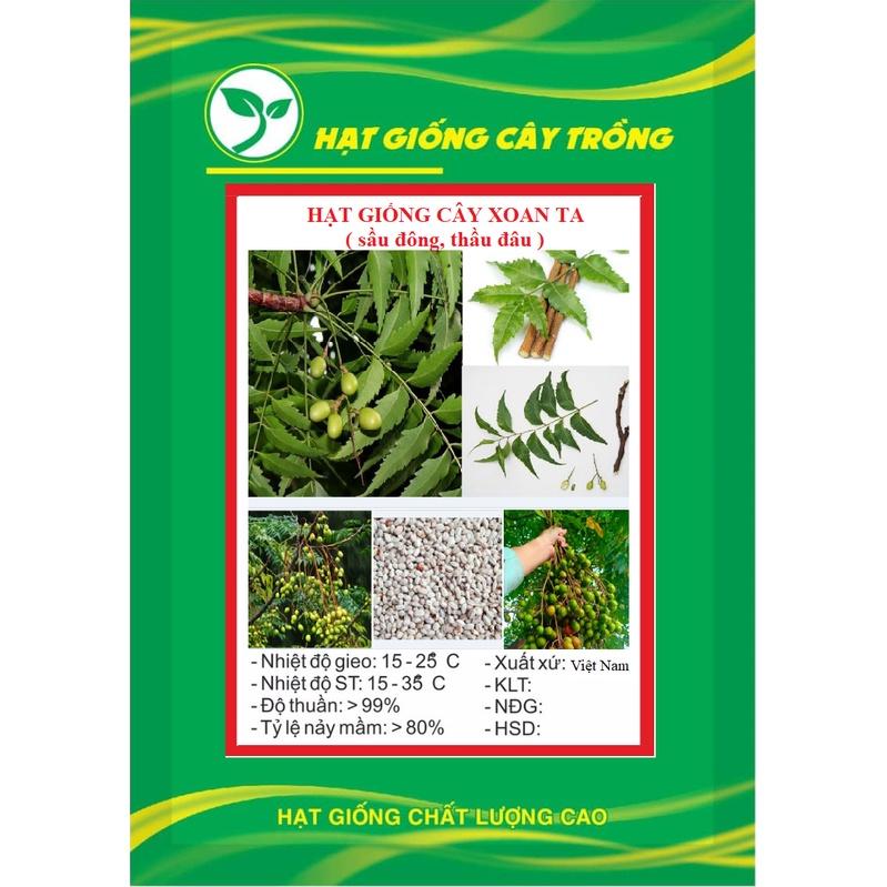 Hạt Giồng Cây xoan ta KNS3728 - Gói 30 hạt