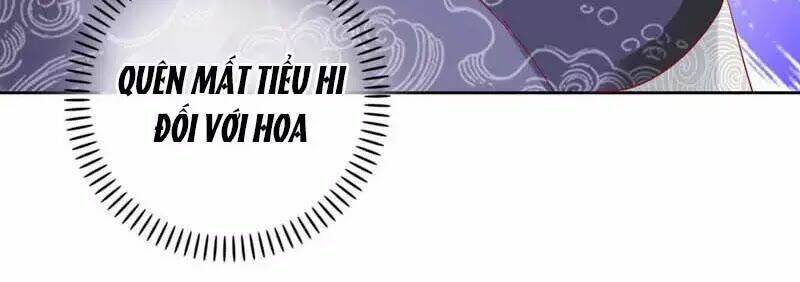 mười dặm hồng trang, thay huynh xuất giá chapter 24 30