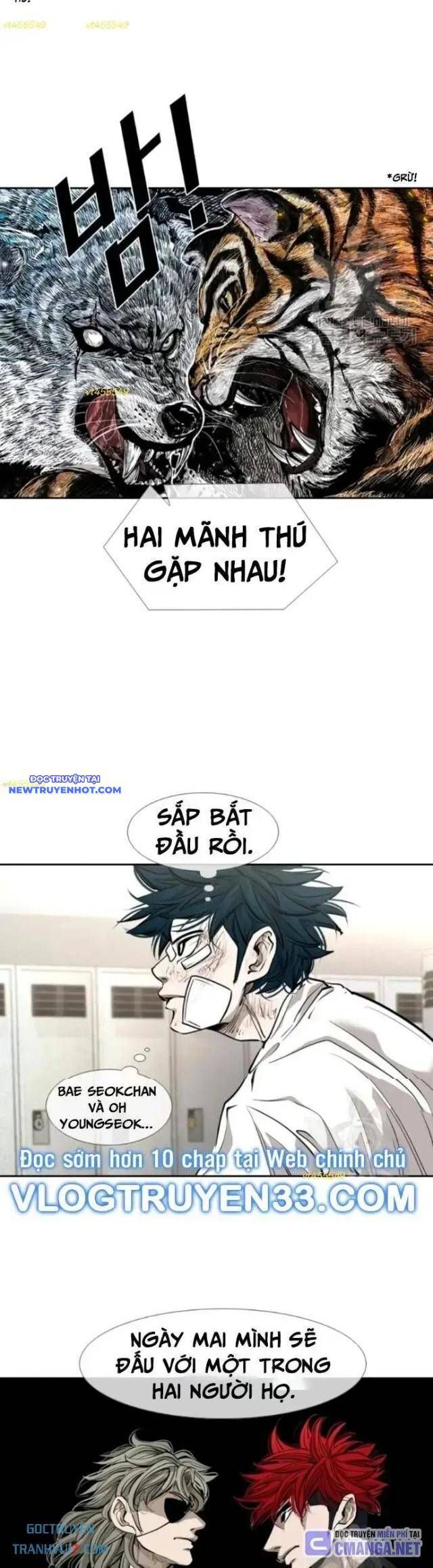 shark - cá mập chapter 202 23