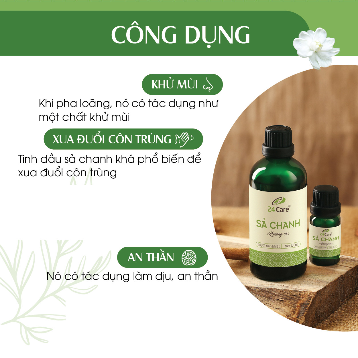 Combo 2 tinh dầu Sả chanh và tinh dầu Oải hương 24Care 10ml/50ml/100ml - Xông thơm phòng, đuổi muỗi, khử mùi - Tinh dầu Bạc Hà/ Quế/ Bưởi/ Tràm Huế/ Hoa Hồng/ Ngọc Lan Tây