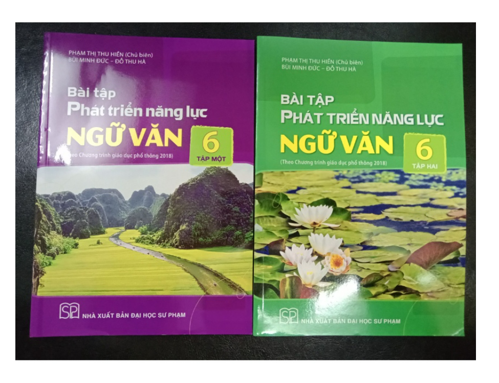 Sách Bài tập phát triển năng lực ngữ văn 6 tập 1