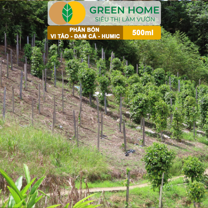 Phân Đạm Cá - Vi Tảo - Humic GreenHome, Chai 500ml, Siêu Vọt Đọt, Kích Rễ Mạnh Mẽ Cho Mọi Cây Trồng