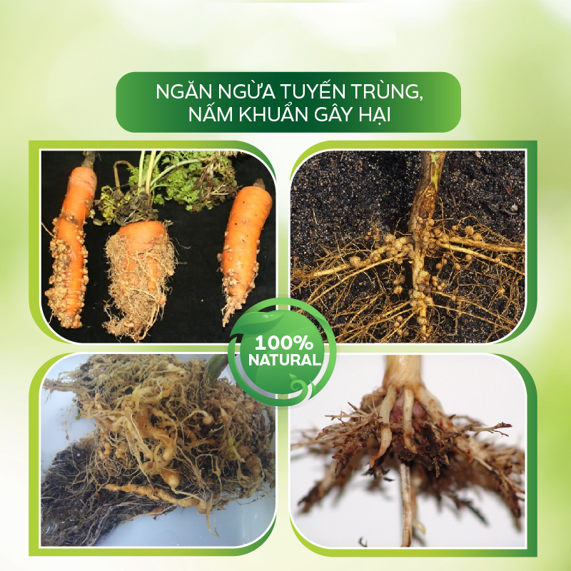 Chế Phẩm Sinh Học AT Thay Vôi Nâng pH Đất, Cải Tạo Phục Hồi Rễ, Hạ Phèn Trong Đất - Cân Bằng pH 500ml