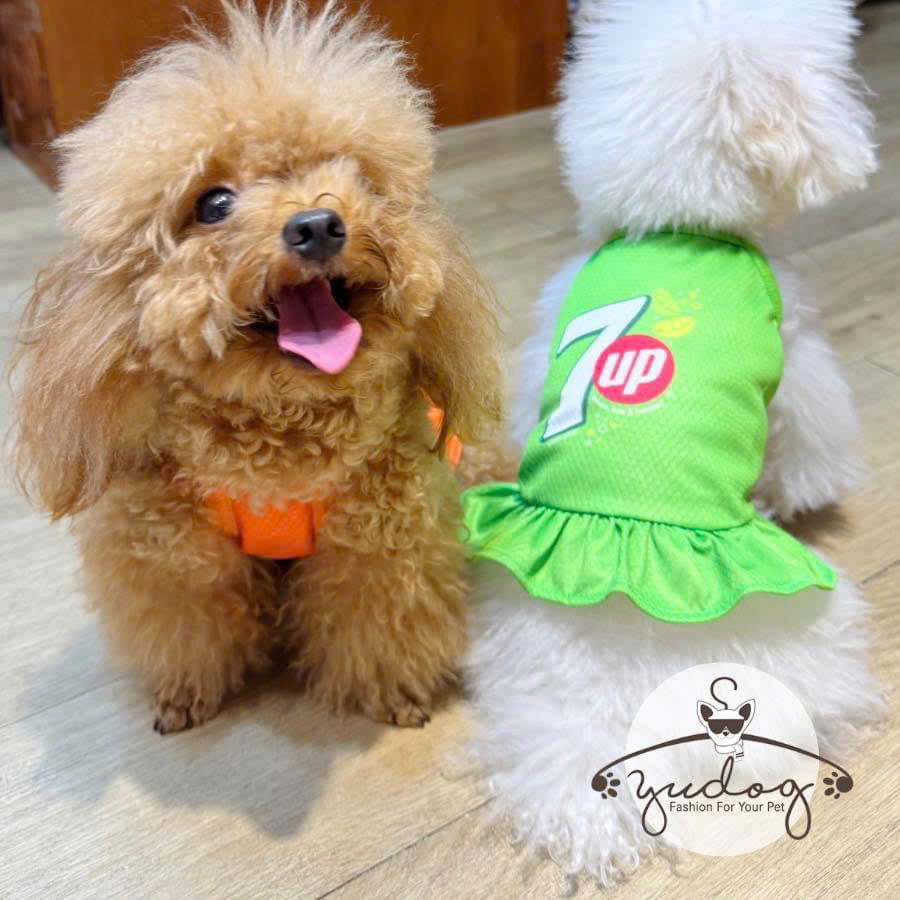 ĐẦM XÒE DÂY XINH DÀNH CHO CHÓ MÈO