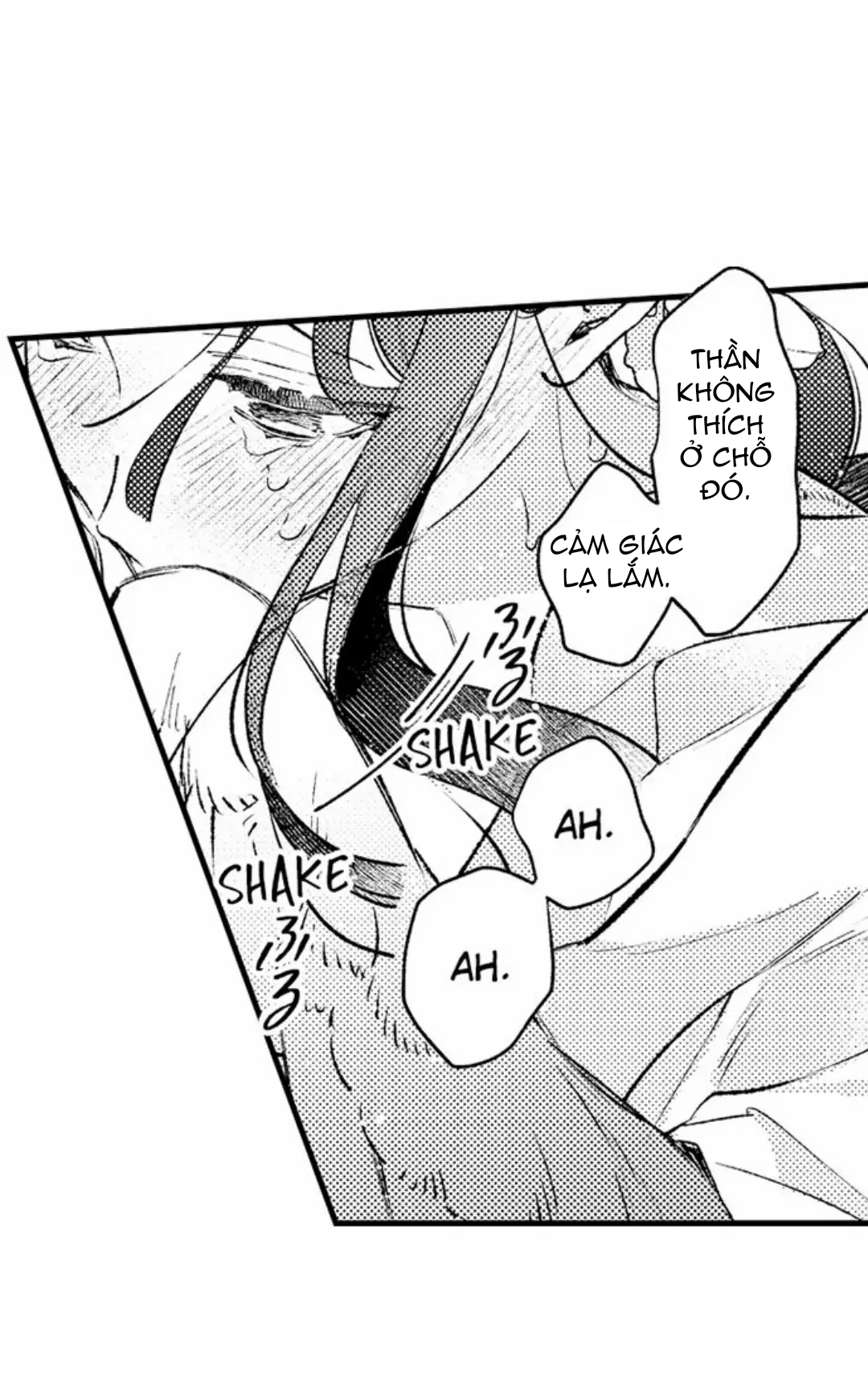 điểu thượng minh hoa chapter 10.2 1