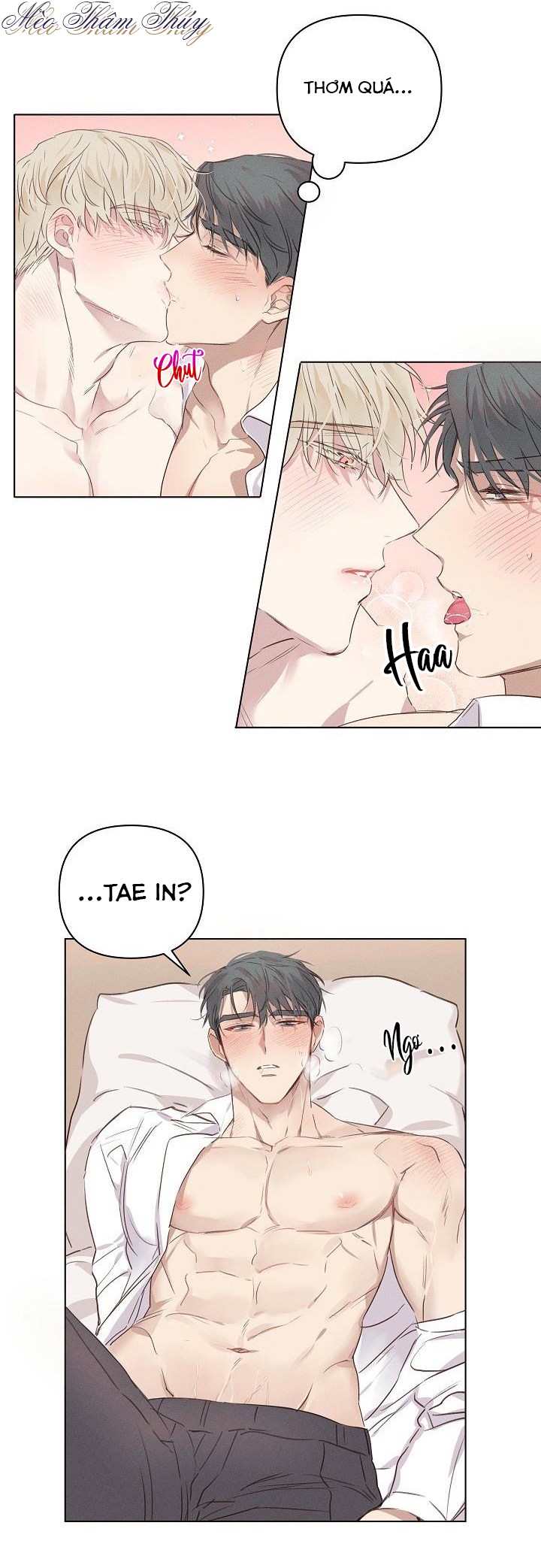 nơi tình yêu định mệnh chapter 3 14