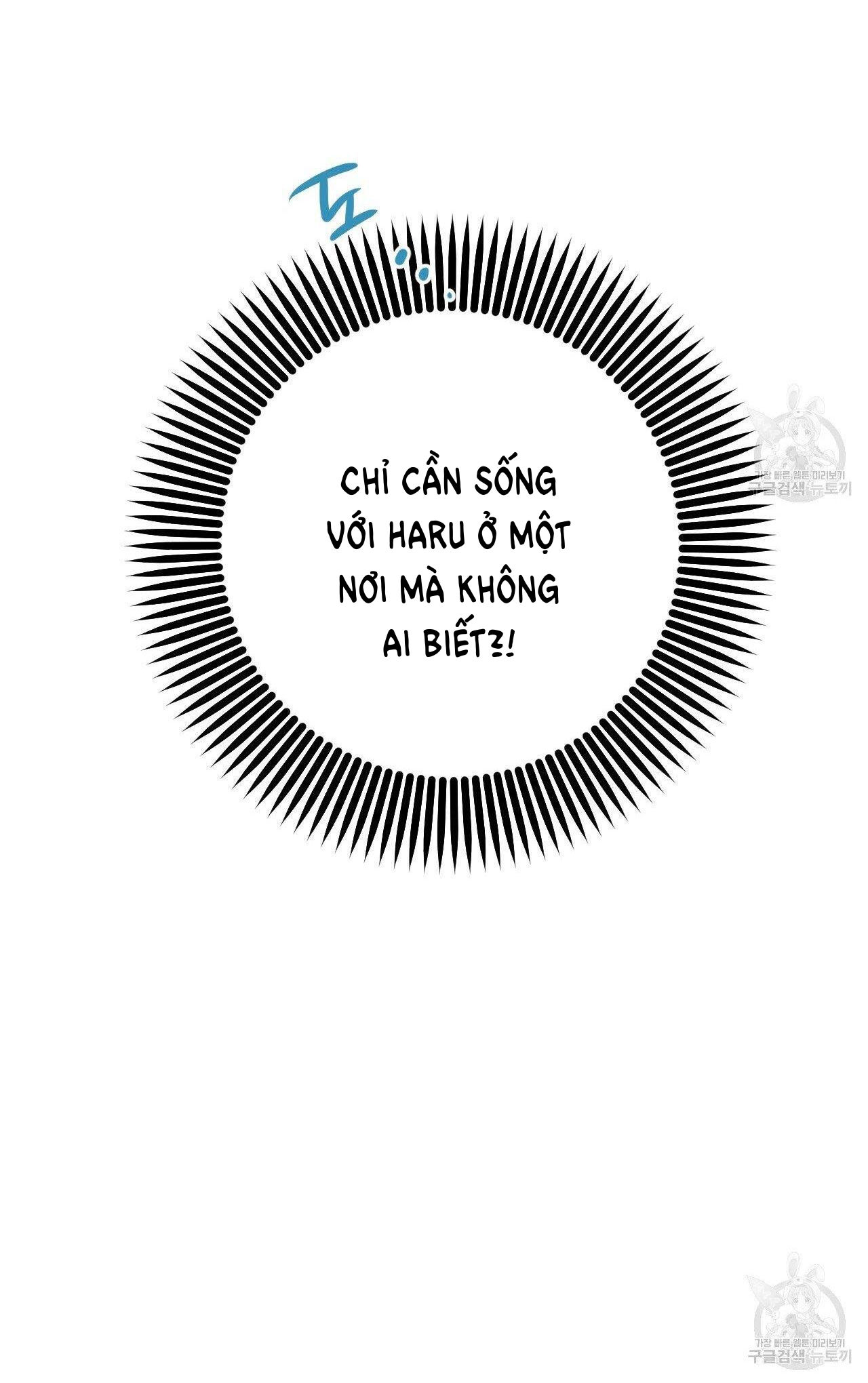 những chú thỏ của hapypy chapter 53.1 13