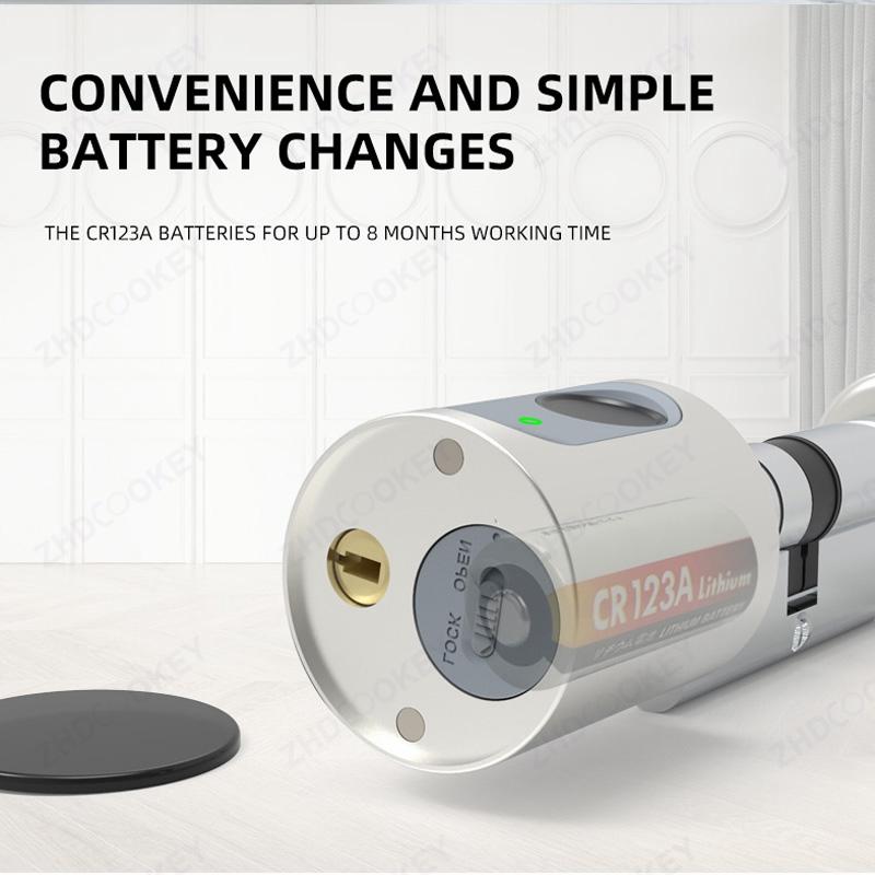 Trụ Khóa Thông Minh Tuya Bluetooth Châu Âu Sinh Trắc Học Vân Tay Thẻ RFID Chìa Khóa Ứng Dụng DIY Có Thể Điều Chỉnh Kích Thước Lõi Khóa Cửa Điện Tử