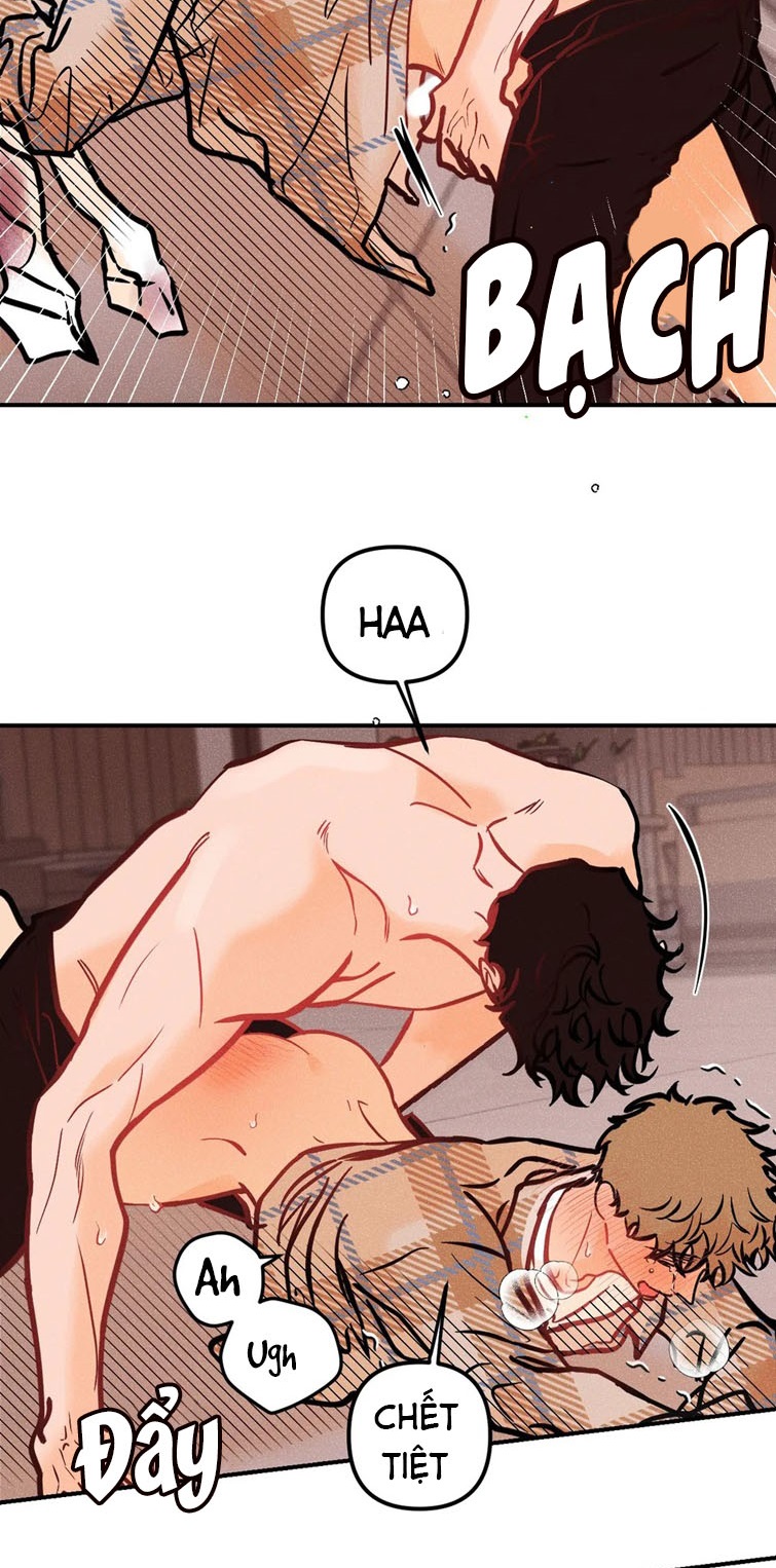 punk dunk funk chapter 40 4