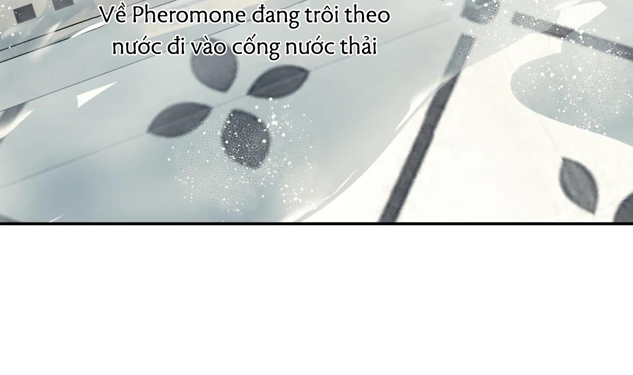 Ám Ảnh Pheromone chapter 17