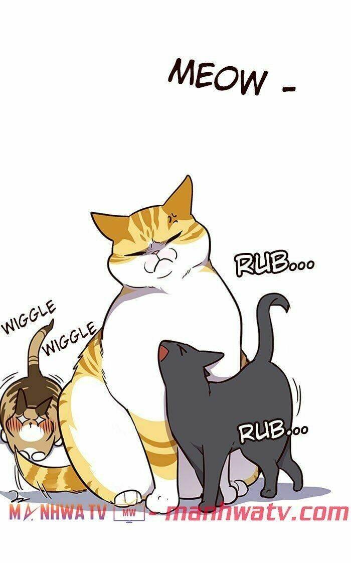 biến thân thành mèo chapter 37 50