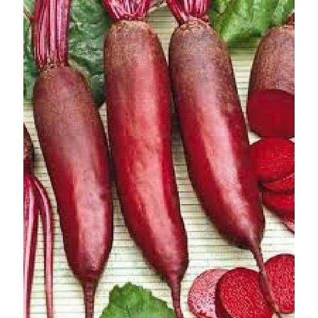 Hạt giống củ cải dài đỏ - 1 gói 5gram