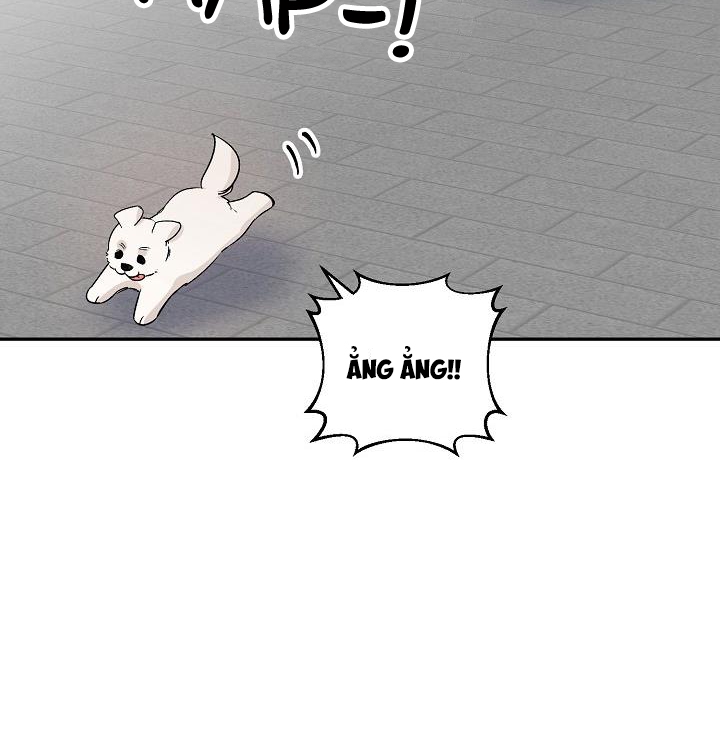 xác suất tình yêu chapter 40 7